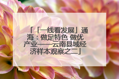 「一线看发展」通海：做足特色 做优产业——云南县域经济样本观察之二