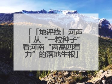 「地评线」河声丨从“一粒种子”看河南“两高四着力”的落地生根