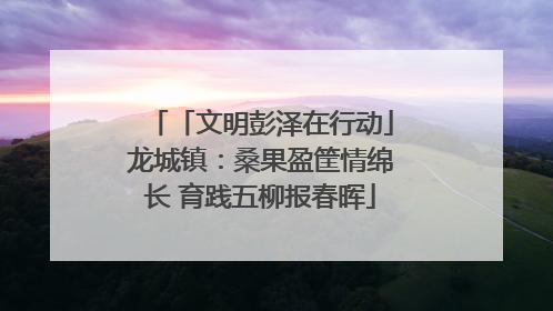 「文明彭泽在行动」龙城镇：桑果盈筐情绵长 育践五柳报春晖
