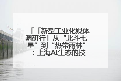 「新型工业化媒体调研行」从“北斗七星”到“热带雨林”：上海AI生态的技术商业共生密码