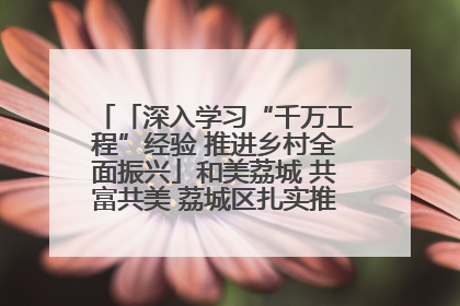 「深入学习“千万工程”经验 推进乡村全面振兴」和美荔城 共富共美 荔城区扎实推进乡村振兴工作