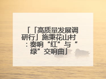 「高质量发展调研行」施秉花山村：奏响“红”与“绿”交响曲