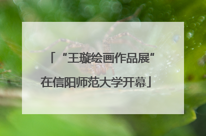 “王璇绘画作品展”在信阳师范大学开幕