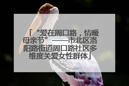 “爱在周口路，情暖母亲节”——市北区洛阳路街道周口路社区多维度关爱女性群体