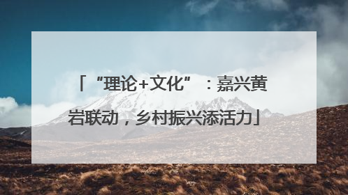 “理论+文化”：嘉兴黄岩联动，乡村振兴添活力