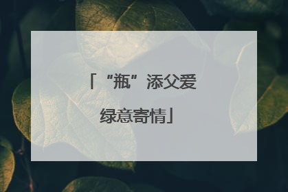 “瓶”添父爱 绿意寄情