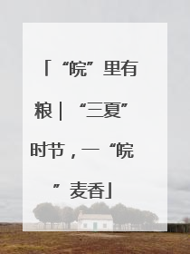 “皖”里有粮｜“三夏”时节，一“皖”麦香