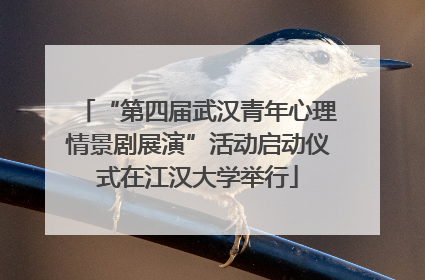 “第四届武汉青年心理情景剧展演”活动启动仪式在江汉大学举行