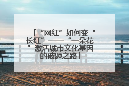 “网红”如何变“长红”——“一朵花”激活城市文化基因的破题之路