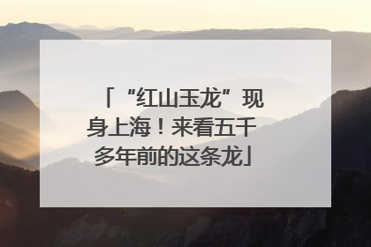 “红山玉龙”现身上海！来看五千多年前的这条龙