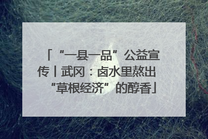 “一县一品”公益宣传丨武冈：卤水里熬出“草根经济”的醇香