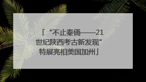 “不止秦俑——21世纪陕西考古新发现”特展亮相美国加州