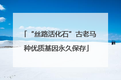 “丝路活化石”古老马种优质基因永久保存