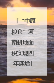 “中原粮仓”河南耕地面积实现四年连增