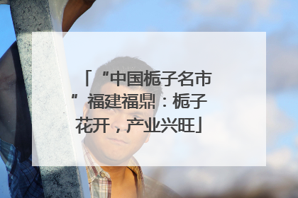 “中国栀子名市”福建福鼎：栀子花开，产业兴旺