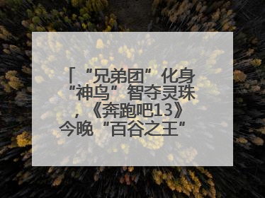 “兄弟团”化身“神鸟”智夺灵珠，《奔跑吧13》今晚“百谷之王”花落谁家？