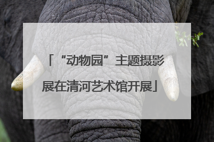 “动物园”主题摄影展在清河艺术馆开展