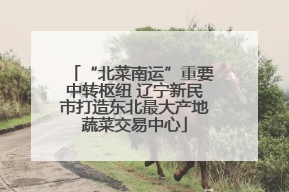 “北菜南运”重要中转枢纽 辽宁新民市打造东北最大产地蔬菜交易中心