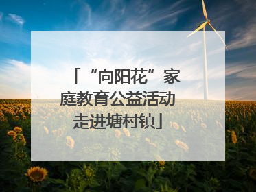 “向阳花”家庭教育公益活动走进塘村镇