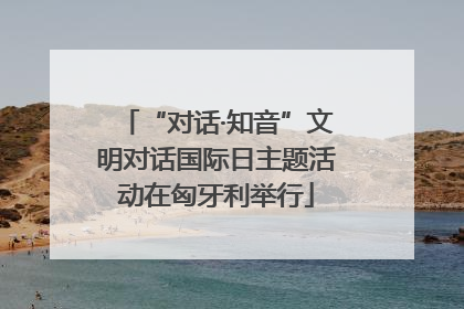 “对话·知音”文明对话国际日主题活动在匈牙利举行