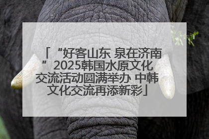 “好客山东 泉在济南”2025韩国水原文化交流活动圆满举办 中韩文化交流再添新彩