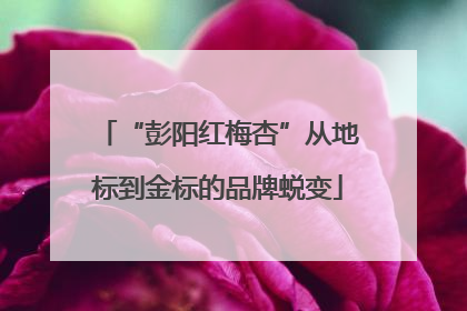 “彭阳红梅杏”从地标到金标的品牌蜕变