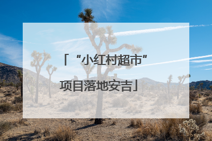 “小红村超市”项目落地安吉