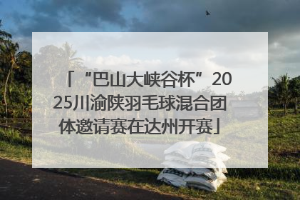 “巴山大峡谷杯”2025川渝陕羽毛球混合团体邀请赛在达州开赛