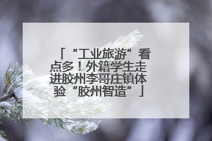 “工业旅游”看点多！外籍学生走进胶州李哥庄镇体验“胶州智造”