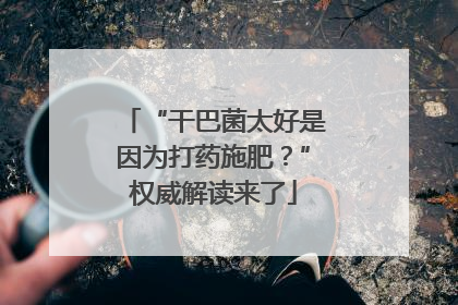 “干巴菌太好是因为打药施肥？”权威解读来了