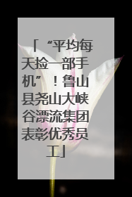 “平均每天捡一部手机”！鲁山县尧山大峡谷漂流集团表彰优秀员工
