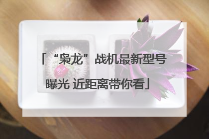 “枭龙”战机最新型号曝光 近距离带你看
