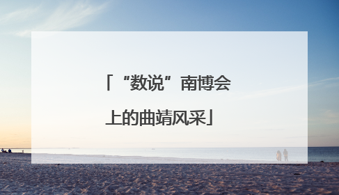 “数说”南博会上的曲靖风采