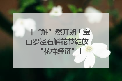 “斛”然开朗！宝山罗泾石斛花节绽放“花样经济”