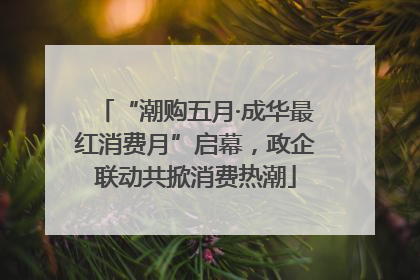 “潮购五月·成华最红消费月”启幕，政企联动共掀消费热潮