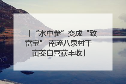 “水中参”变成“致富宝” 南漳八泉村千亩茭白喜获丰收