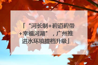 “河长制+碧道碧带+幸福河湖”，广州推进水环境提档升级