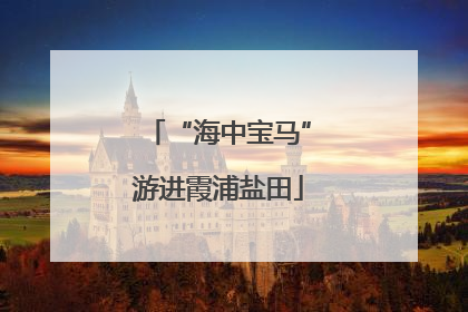 “海中宝马”游进霞浦盐田
