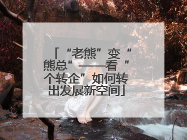 “老熊”变“熊总”——看“个转企”如何转出发展新空间