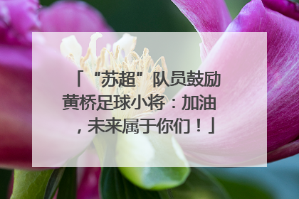 “苏超”队员鼓励黄桥足球小将：加油，未来属于你们！