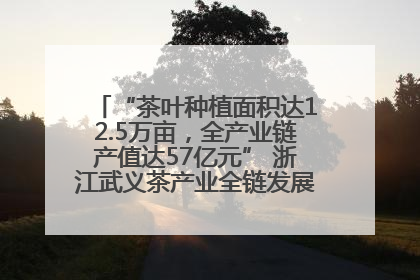 “茶叶种植面积达12.5万亩，全产业链产值达57亿元” 浙江武义茶产业全链发展“加速度”