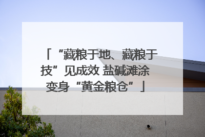 “藏粮于地、藏粮于技”见成效 盐碱滩涂变身“黄金粮仓”
