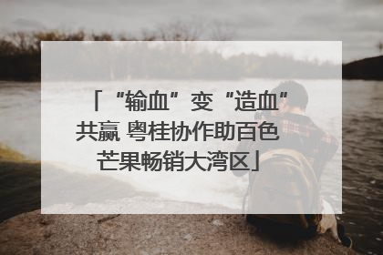 “输血”变“造血”共赢 粤桂协作助百色芒果畅销大湾区