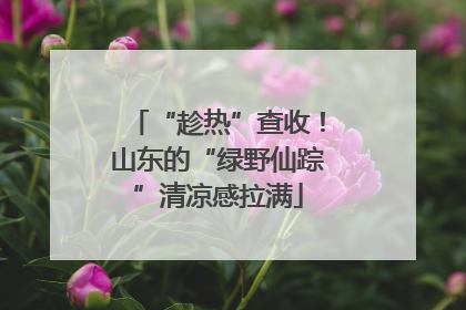 “趁热”查收！山东的“绿野仙踪”清凉感拉满