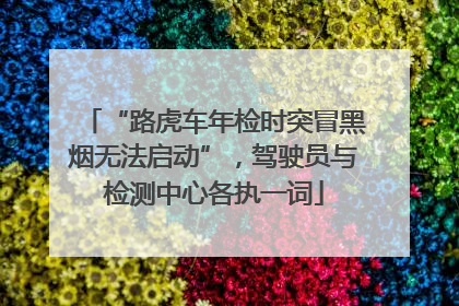 “路虎车年检时突冒黑烟无法启动”，驾驶员与检测中心各执一词