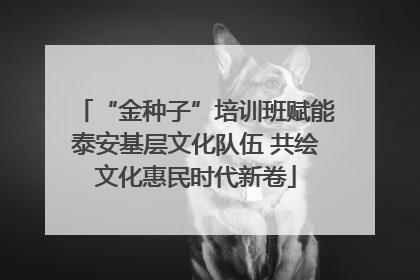 “金种子”培训班赋能泰安基层文化队伍 共绘文化惠民时代新卷