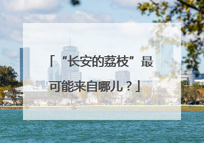 “长安的荔枝”最可能来自哪儿？