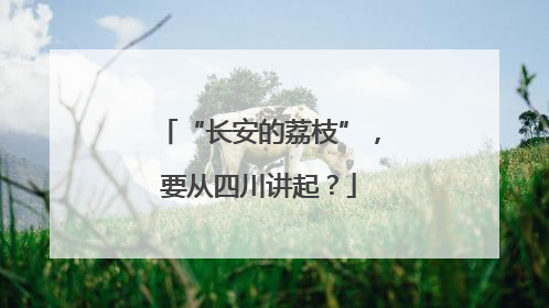 “长安的荔枝”，要从四川讲起？