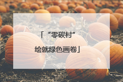 “零碳村” 绘就绿色画卷