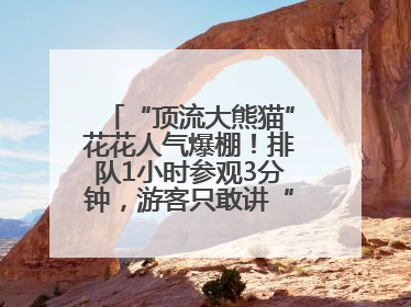 “顶流大熊猫”花花人气爆棚！排队1小时参观3分钟，游客只敢讲“悄悄话”
